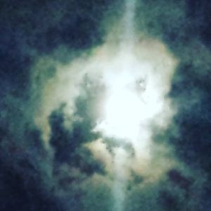 Meet your Posher, Chasity